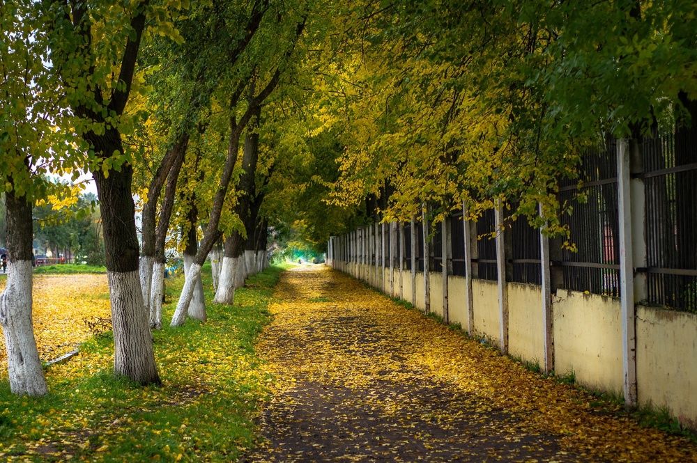 Photograph by Александр Колляков