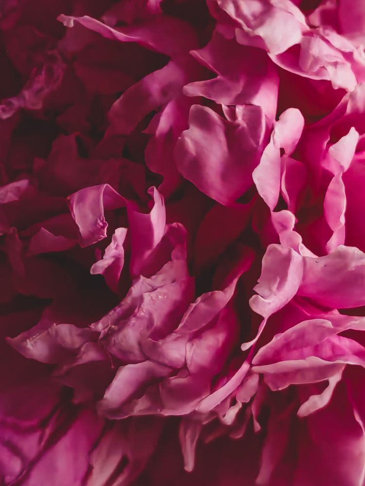 Photograph by Veranika Siratsinina