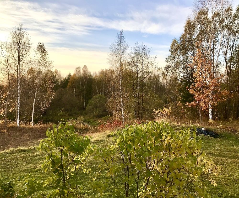 Photograph by Kuzmichev Alexey