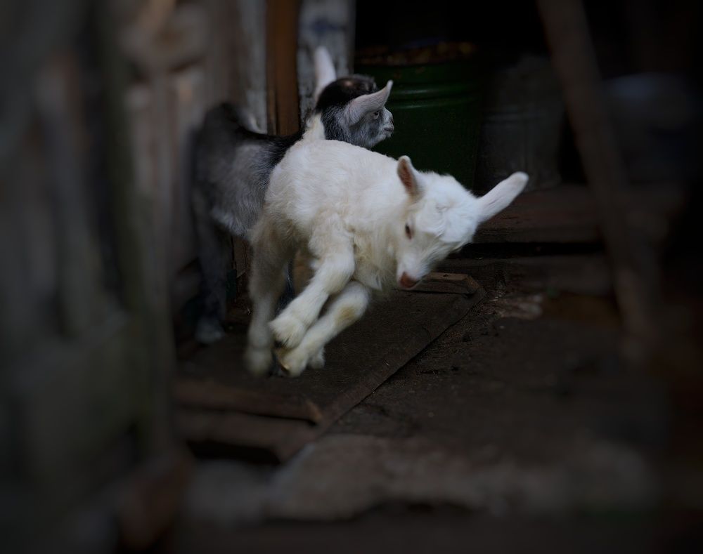 Photograph by Сергей Симаков