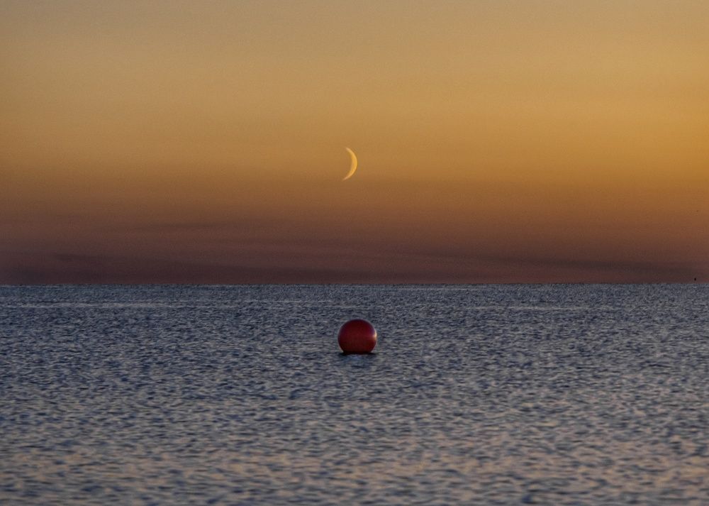 Photograph by Елена