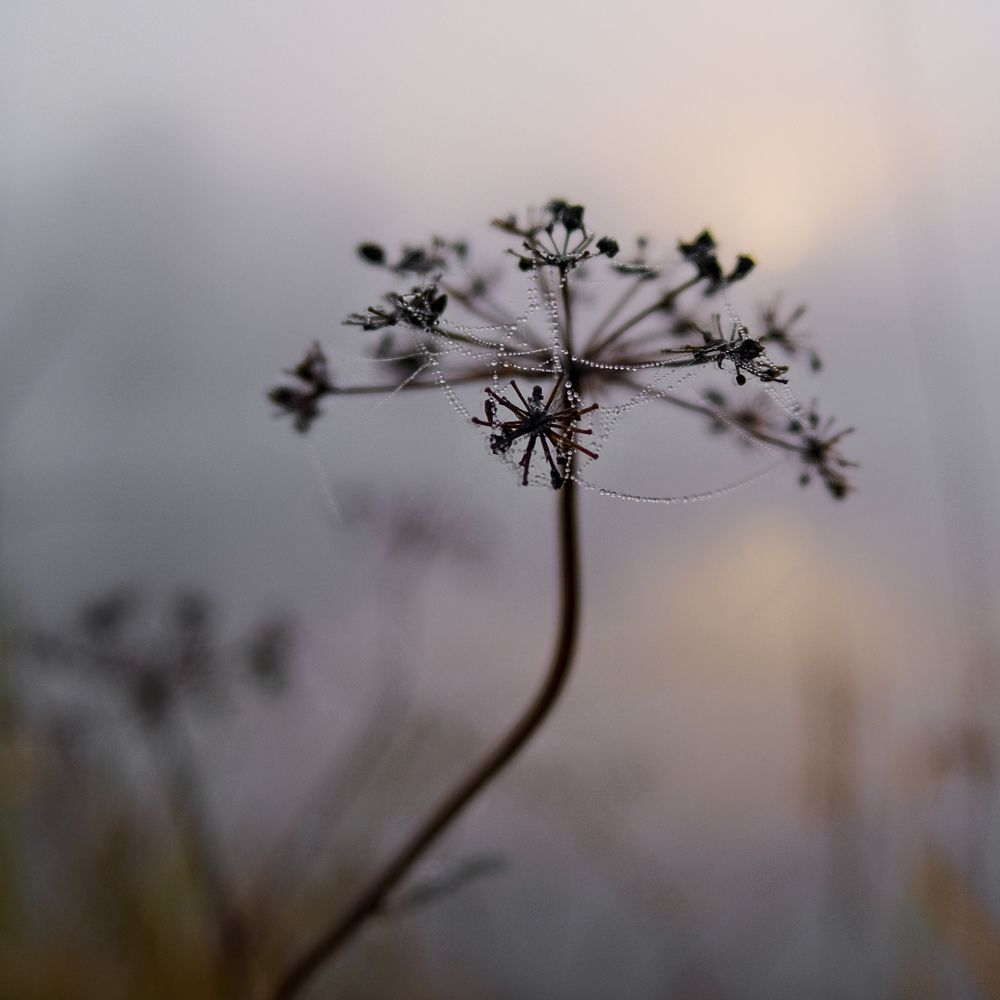 Photograph by Kostantin Belonogov