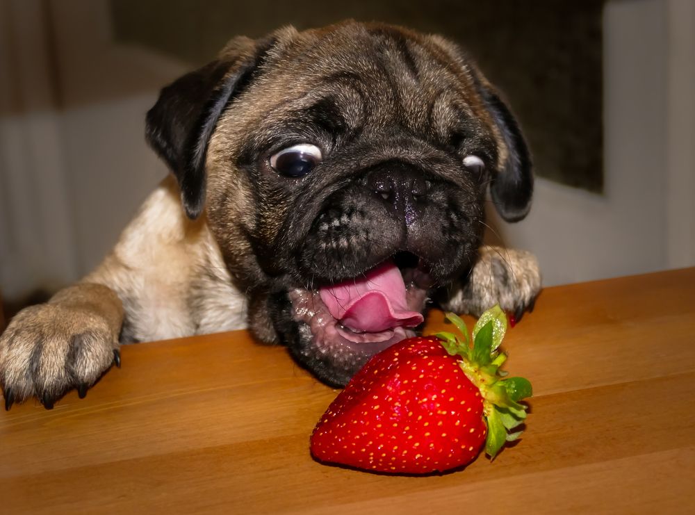 Photograph by Yulia Stepanova