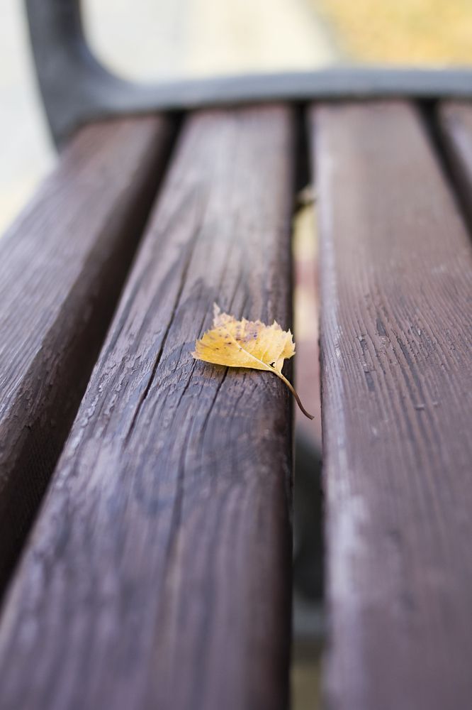 Photograph by Татьяна Шахматова