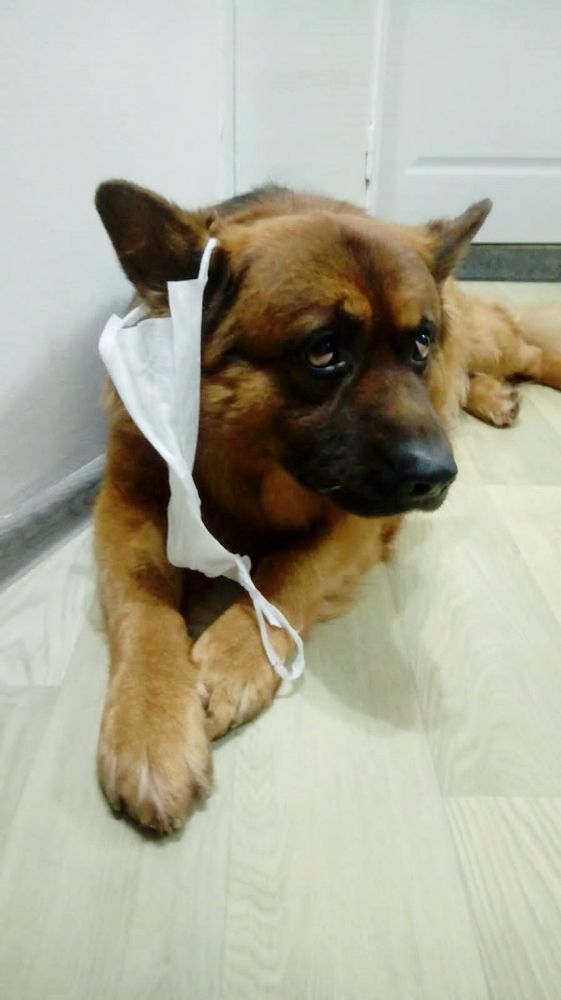 Photograph by Olga Александрова