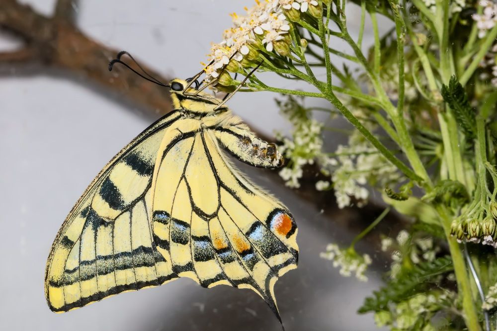 Photograph by Сергей Назаредский