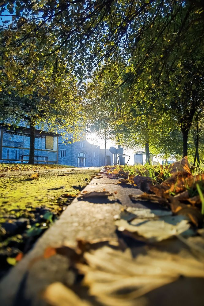 Photograph by Michael Deligan