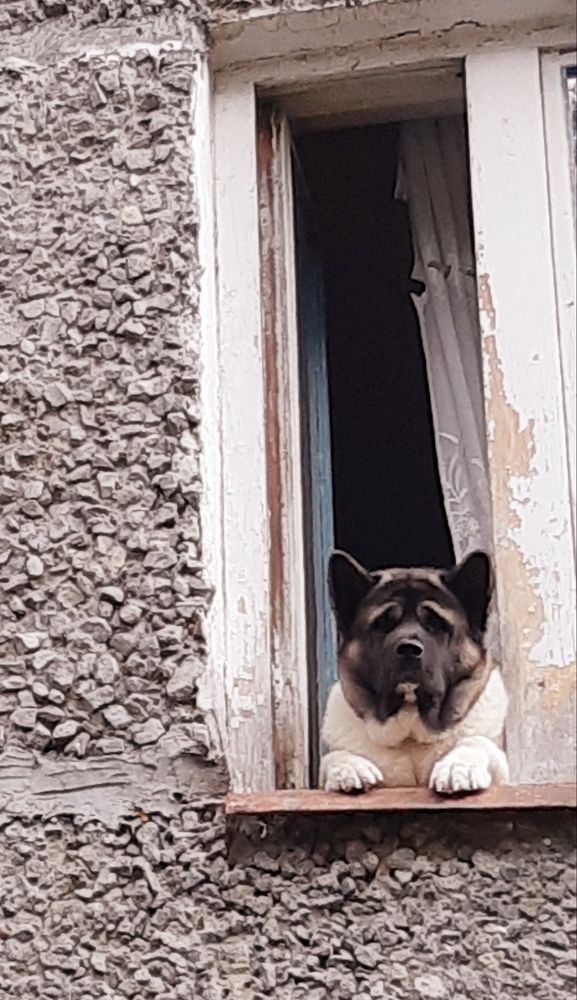 Photograph by Olga Александрова