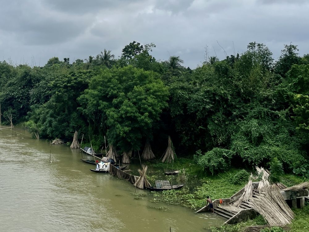 Фотография автора BIPLAB MISRA