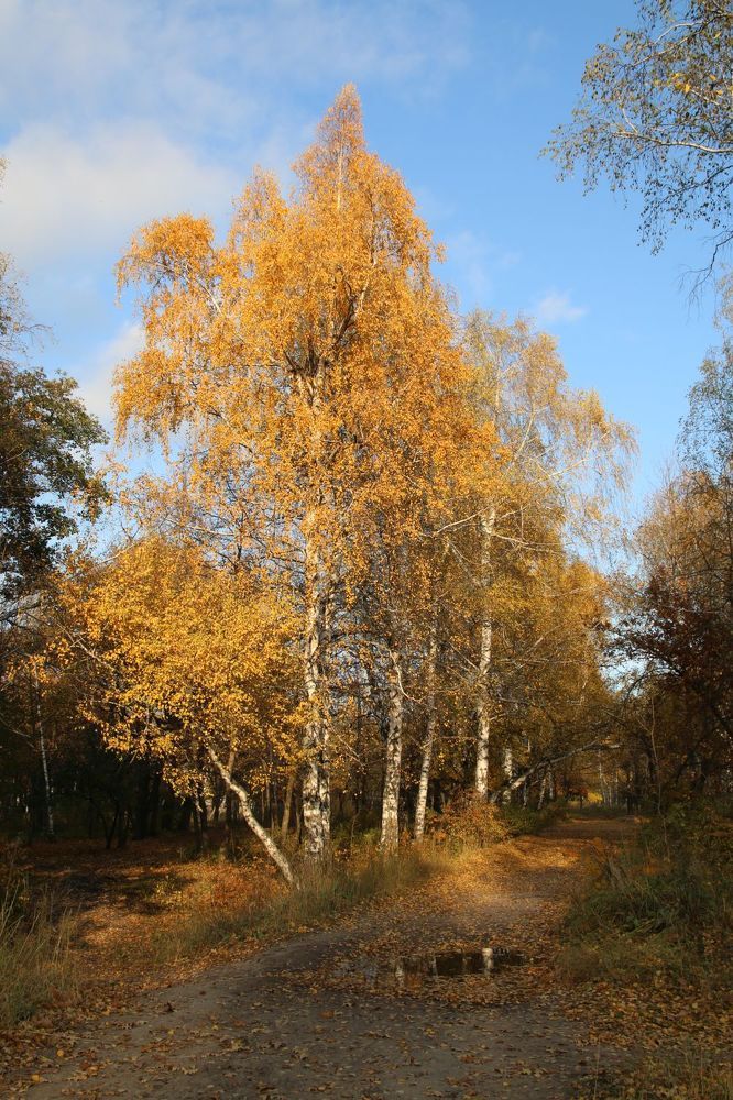 Photograph by Юрий Варюхин