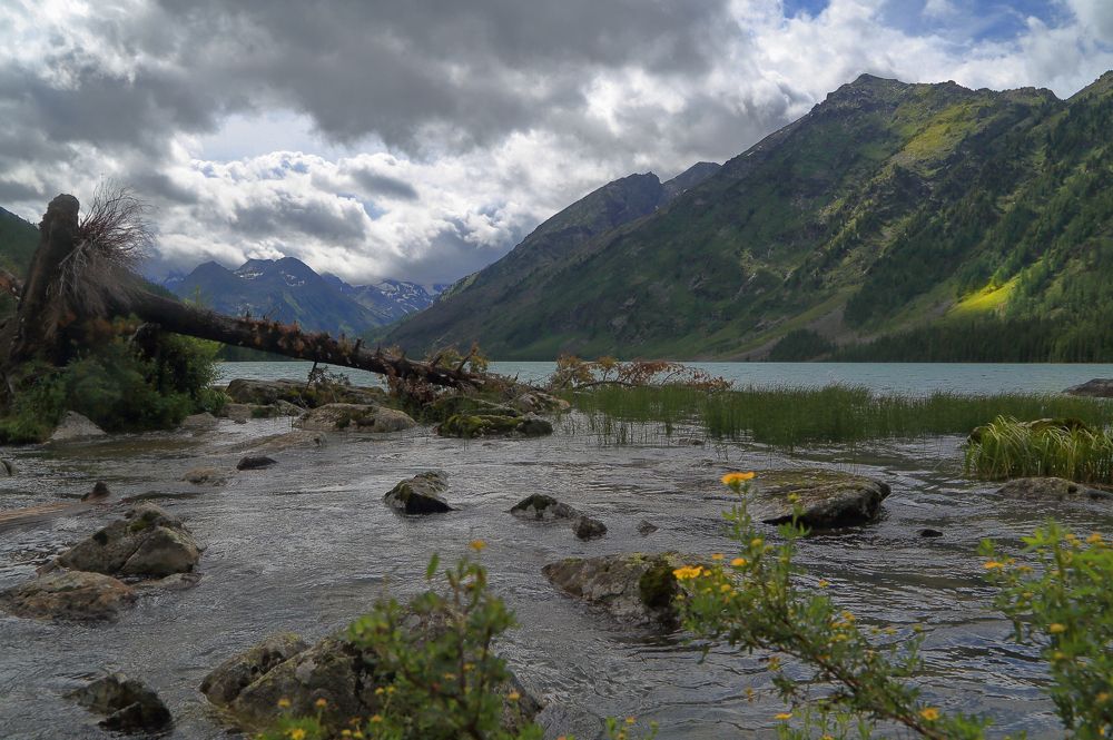 Photograph by Евгений Зинов