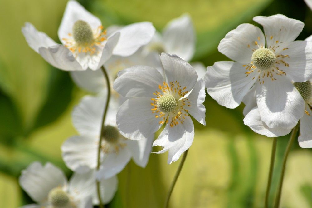 Солнечный день