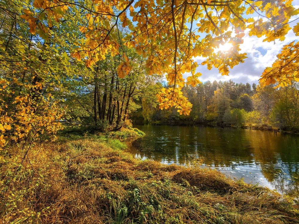 Photograph by Владимир Крылов