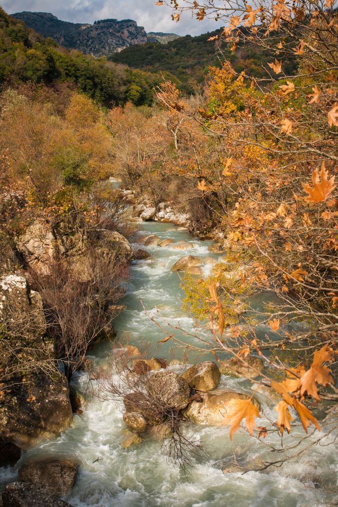 Photograph by Дария Максимова