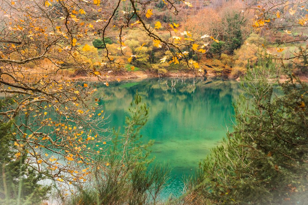 Photograph by Дария Максимова