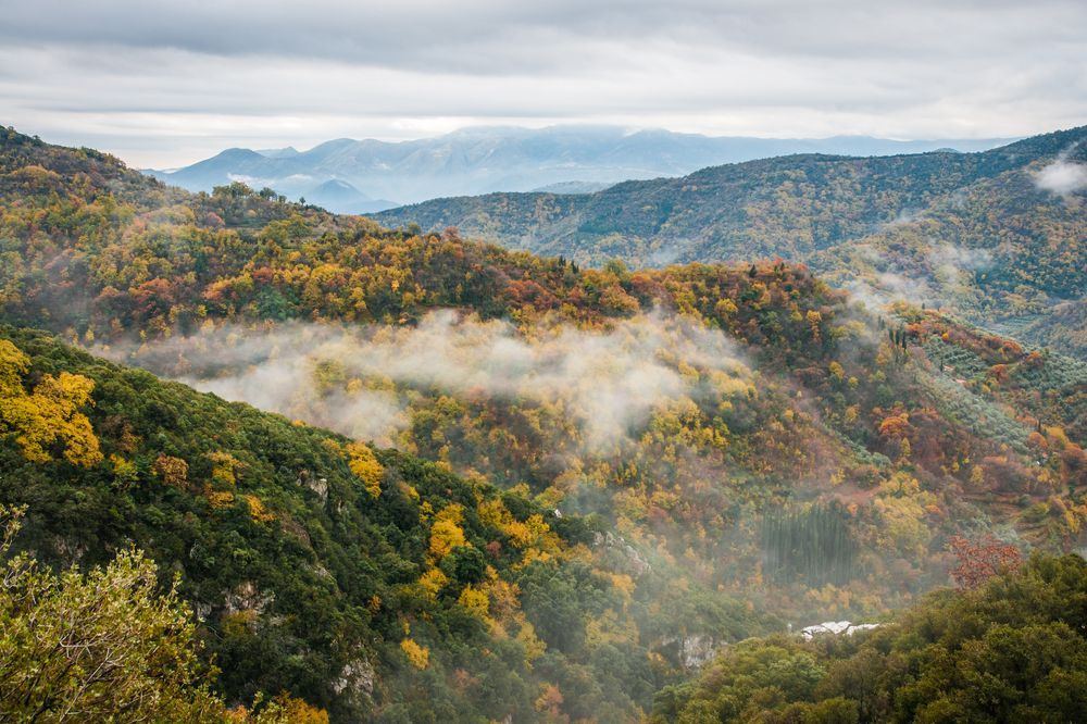 Photograph by Дария Максимова