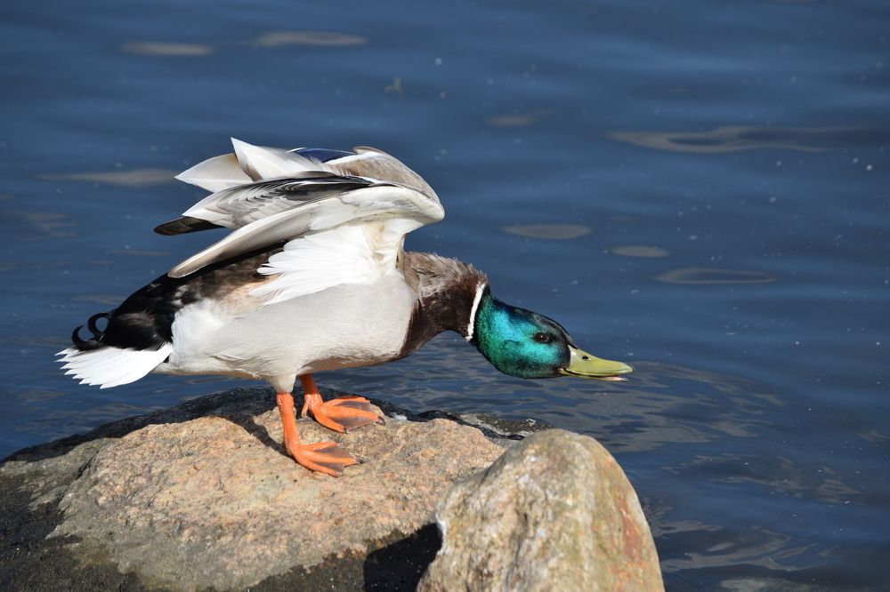 Photograph by Андрей Головин