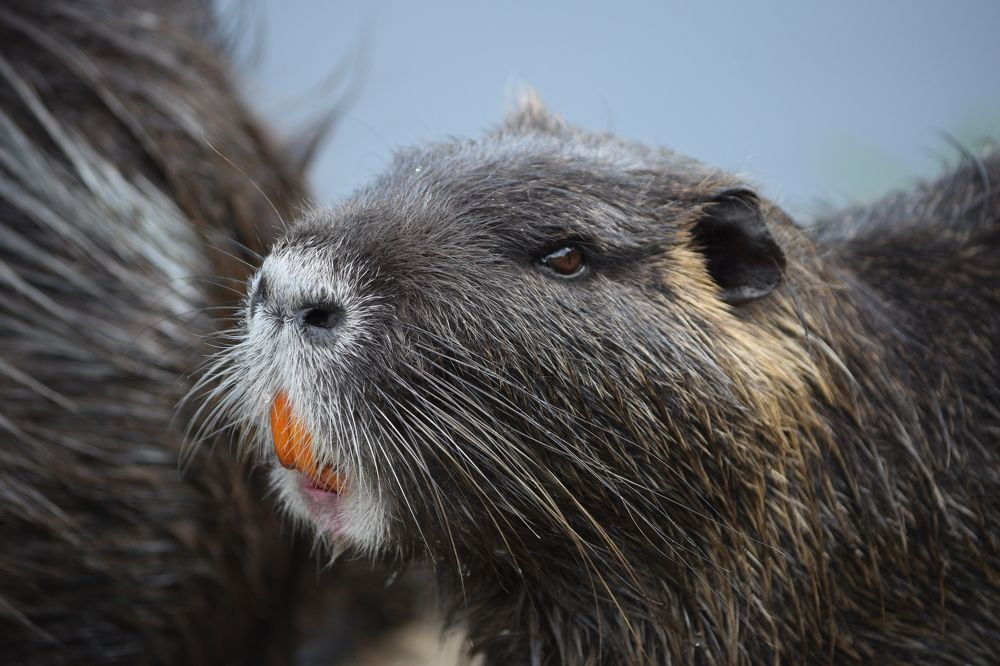 Photograph by Андрей Головин