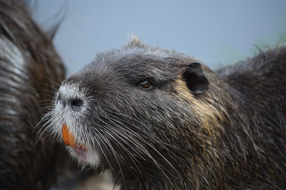 Photograph by Андрей Головин