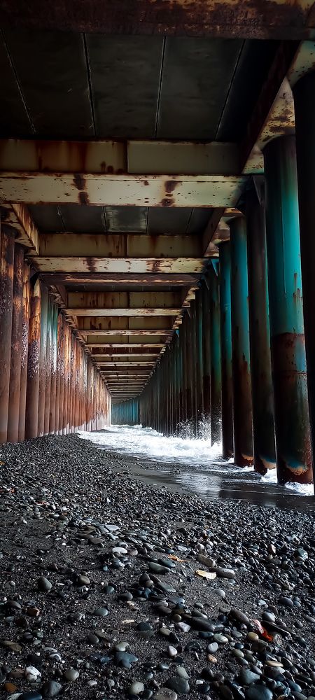 Фотография автора Анастасия Владимирова