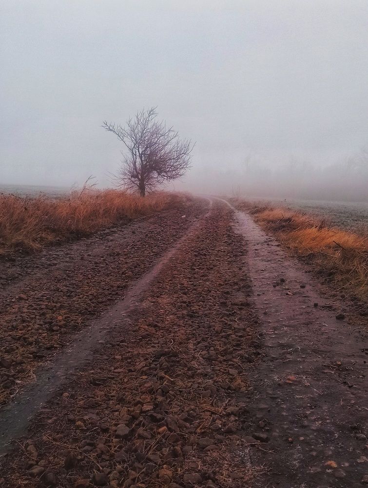 Photograph by Наталья Исиченко