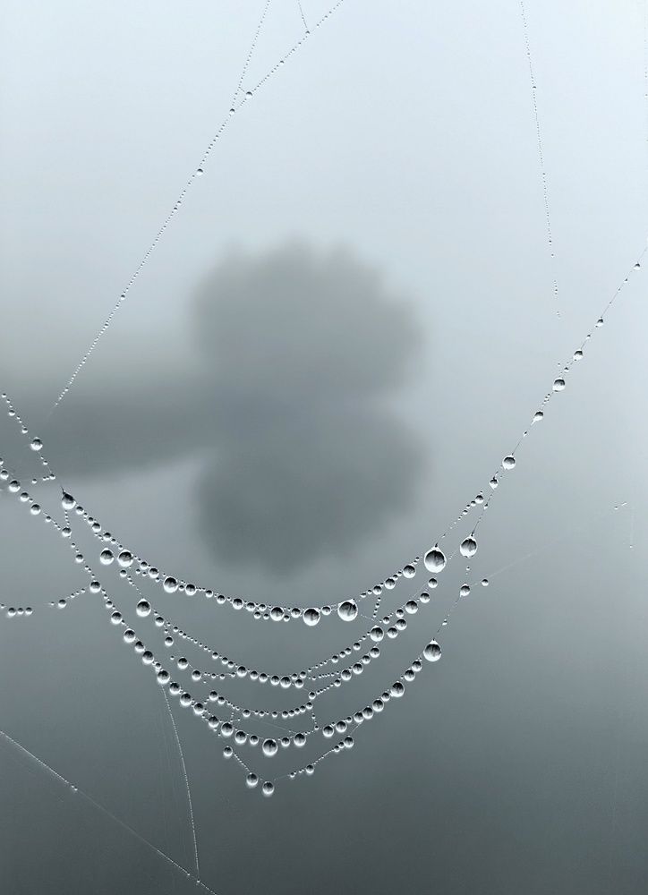 Природные бусы