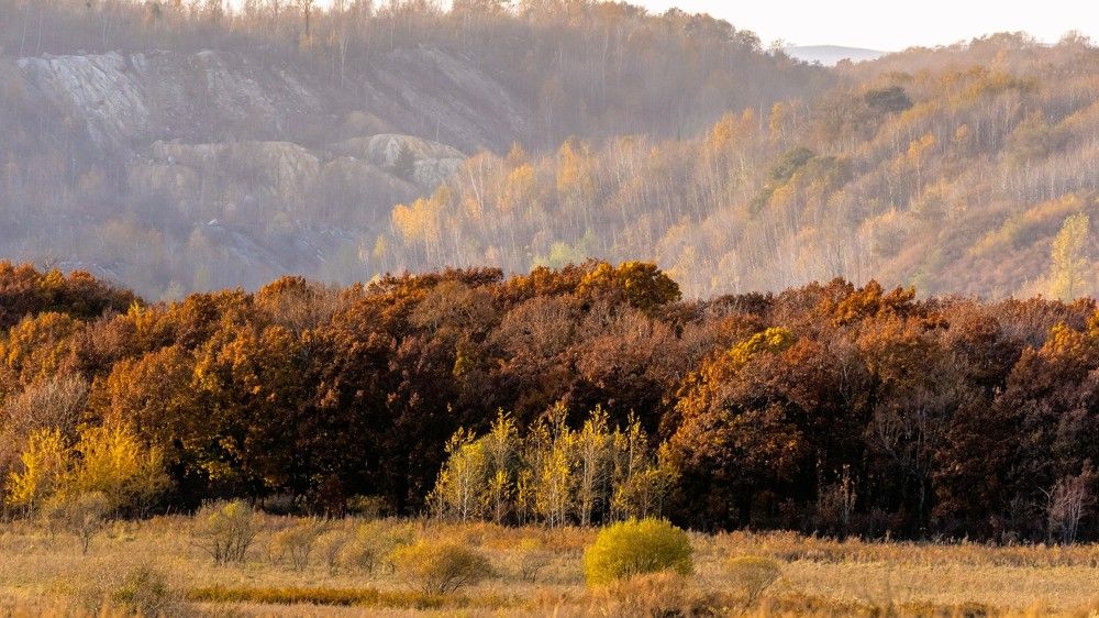 Photograph by константин