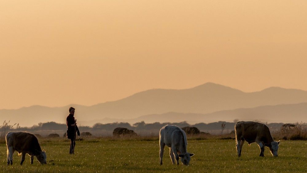 Photograph by константин