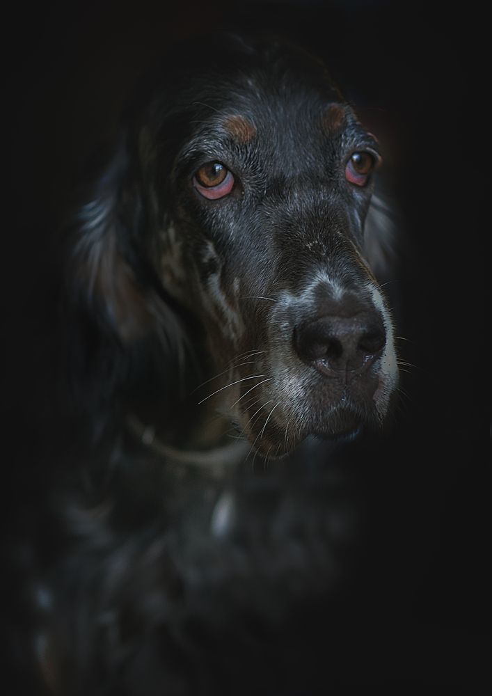 Photograph by Людмила Подольская