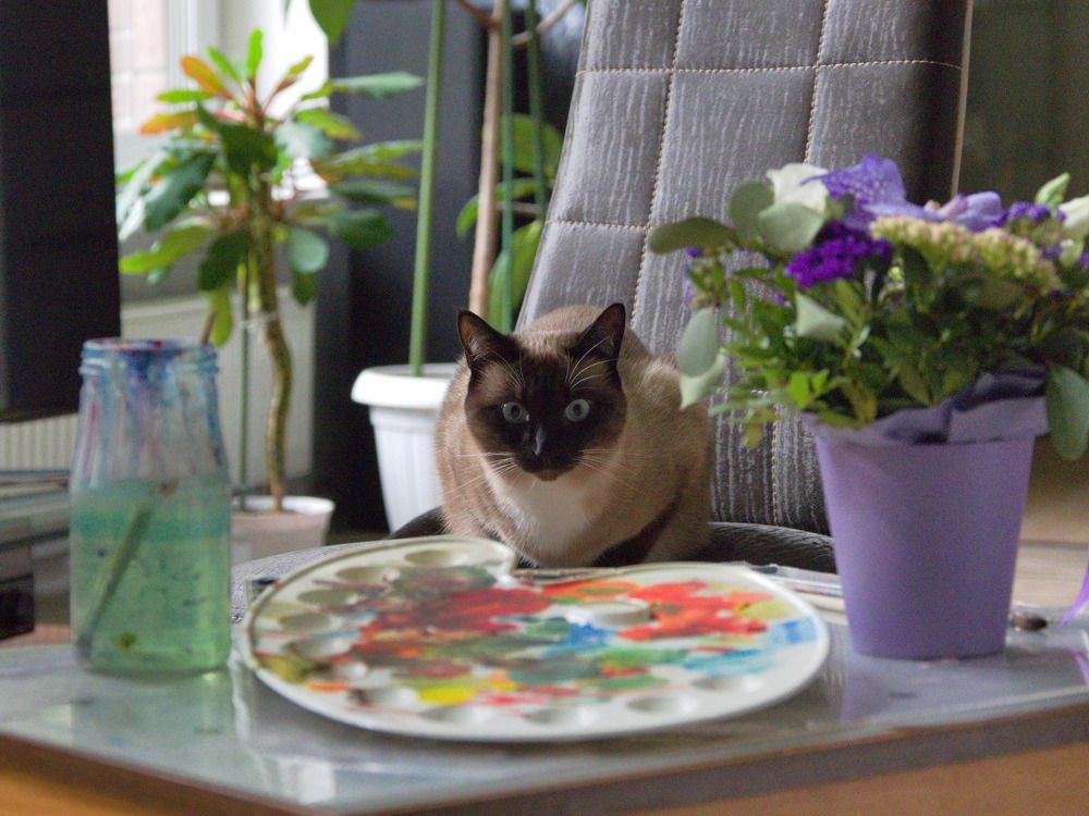 Photograph by Сергей Тузлуков