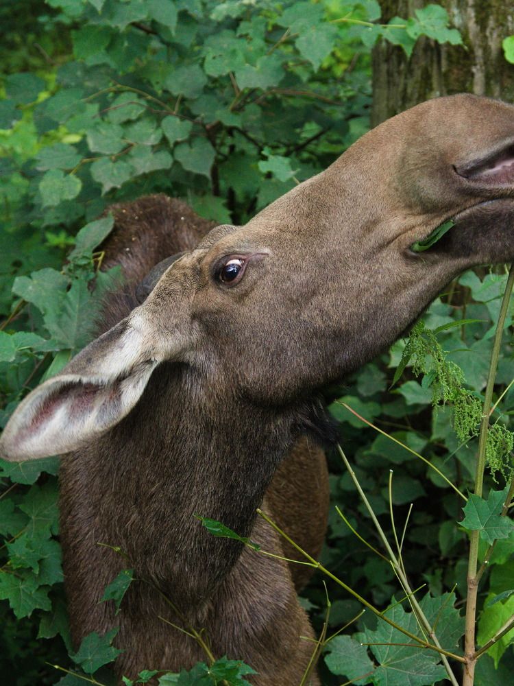 Photograph by Сергей Тузлуков