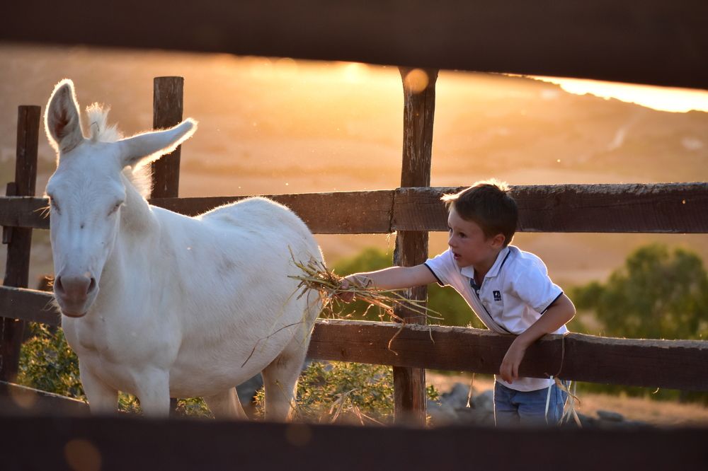 Photograph by Никуличева Екатерина