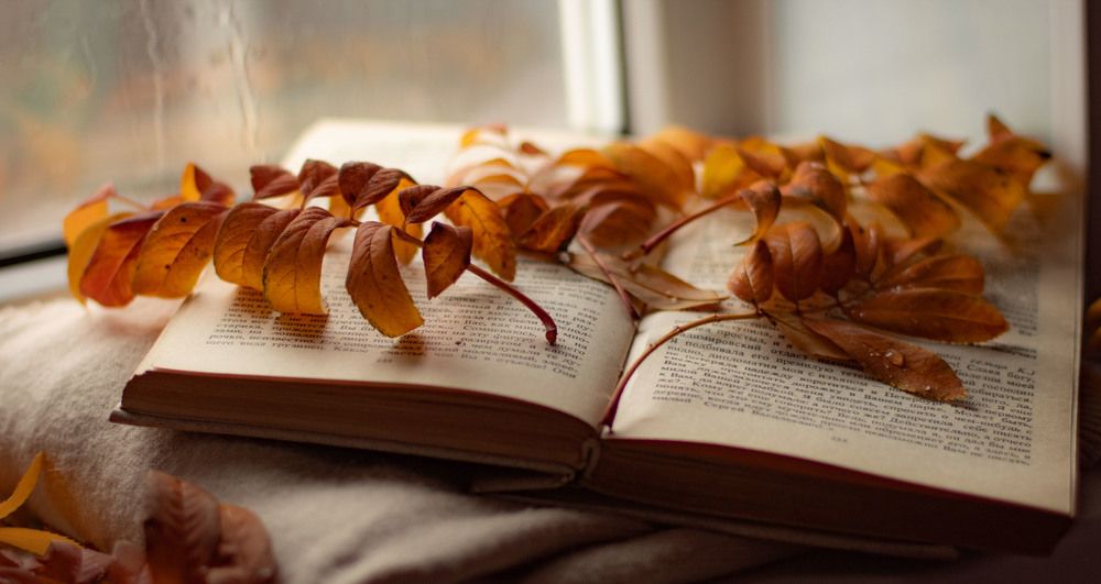 Photograph by Елена Сахарова