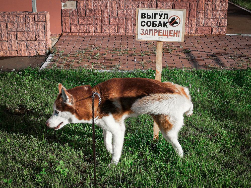 Photograph by Алексей Еремеев