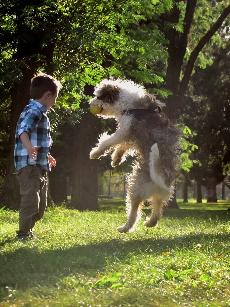 Photograph by Никуличева Екатерина