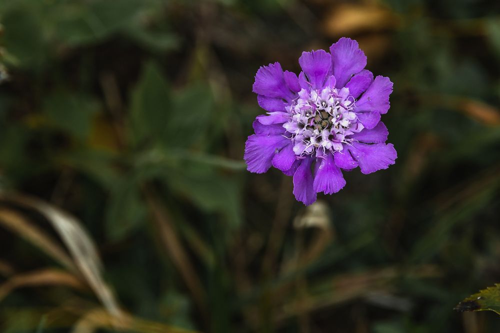 Photograph by Виталий Шкадинов