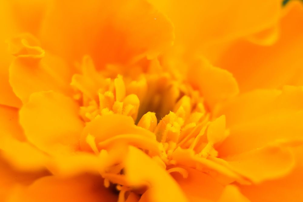 Photograph by Анастасия Глазюк