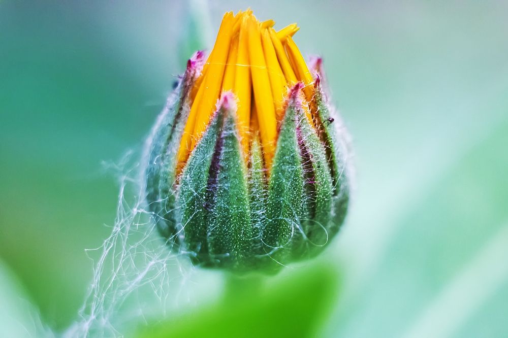 Photograph by Анастасия Глазюк