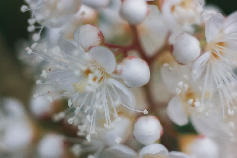 Photograph by Анастасия Глазюк