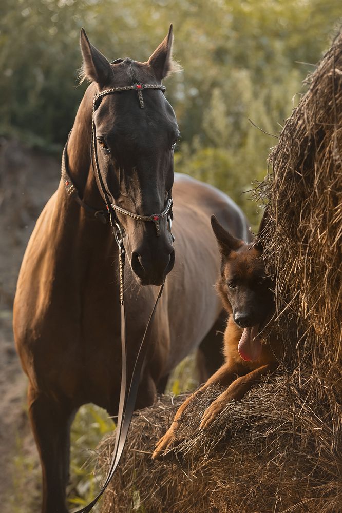Photograph by Ольга Легенькая