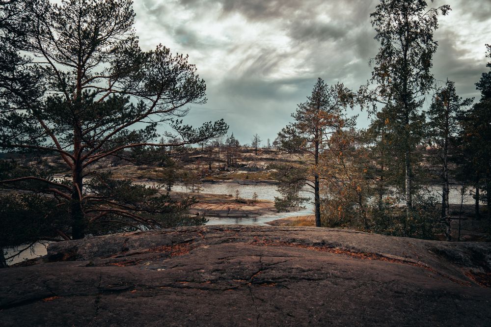 Photograph by Дамир Розыев