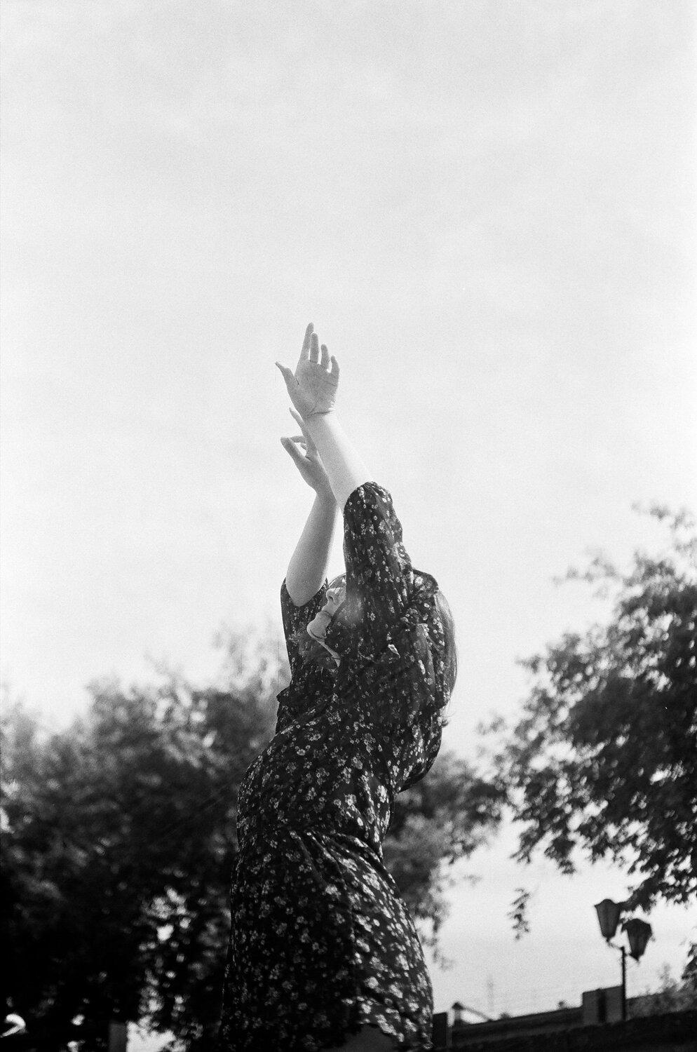 Photo #9677634