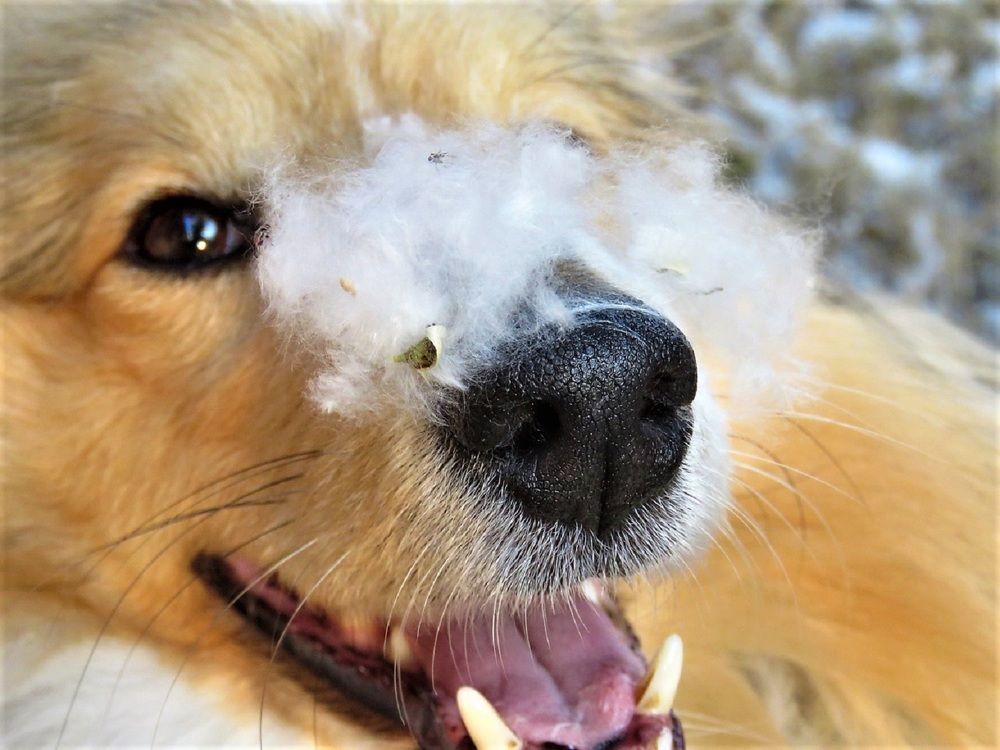 Photograph by Валерия