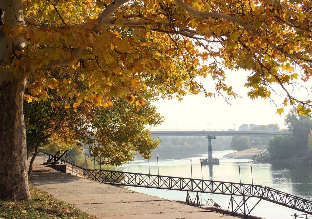 Фотография автора Алла Антонова