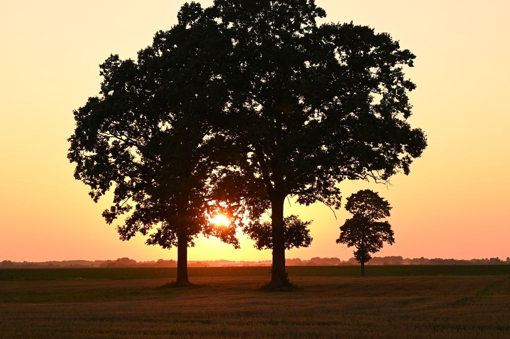 Фотография автора Inesa Darias