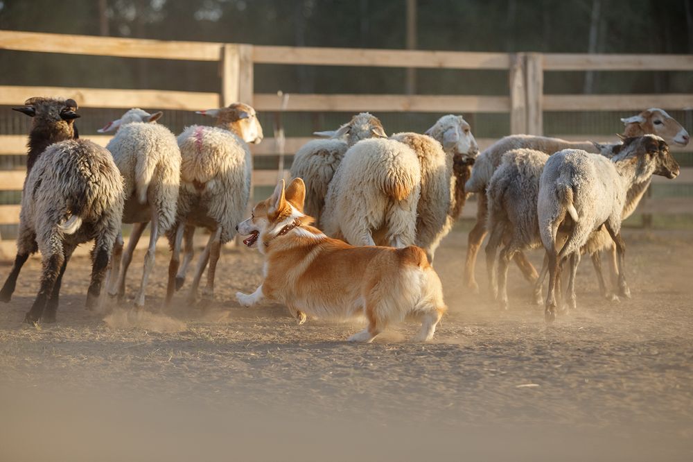 Photograph by Ольга Легенькая