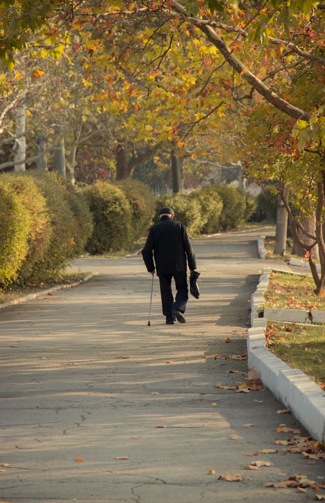 Фотография автора Алла Антонова