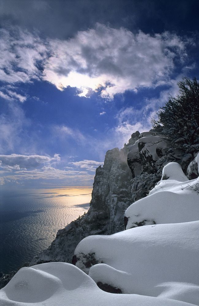 Photograph by Елена