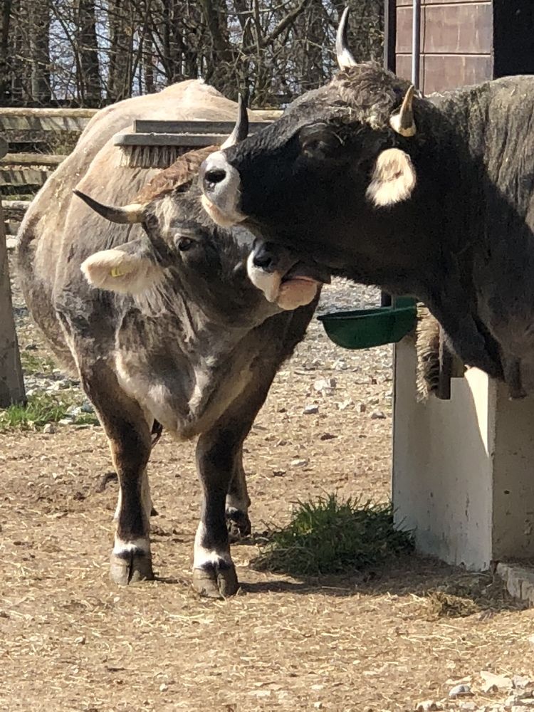 Photograph by Ольга Рачилова