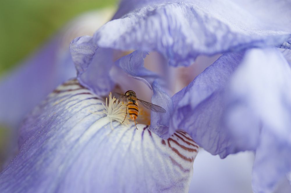 Photograph by Анна Цветковская